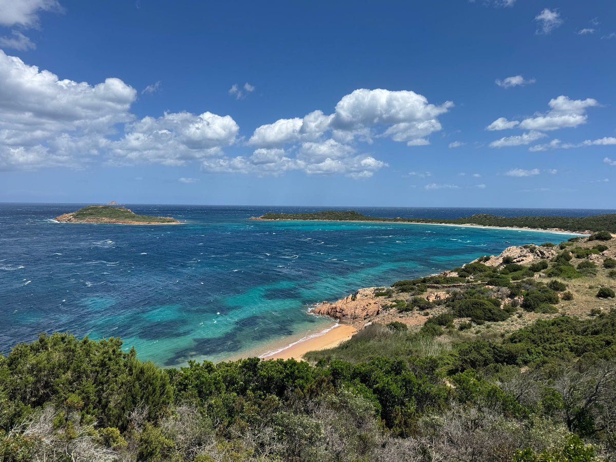Rocky Sardinian coastline with Mediterranean scrub and turquoise water.